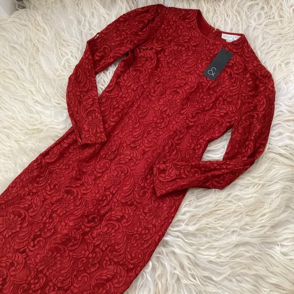 Sachin & Babi Amelie Lace Pattern Knee-Length Dress - Picture 5 of 12